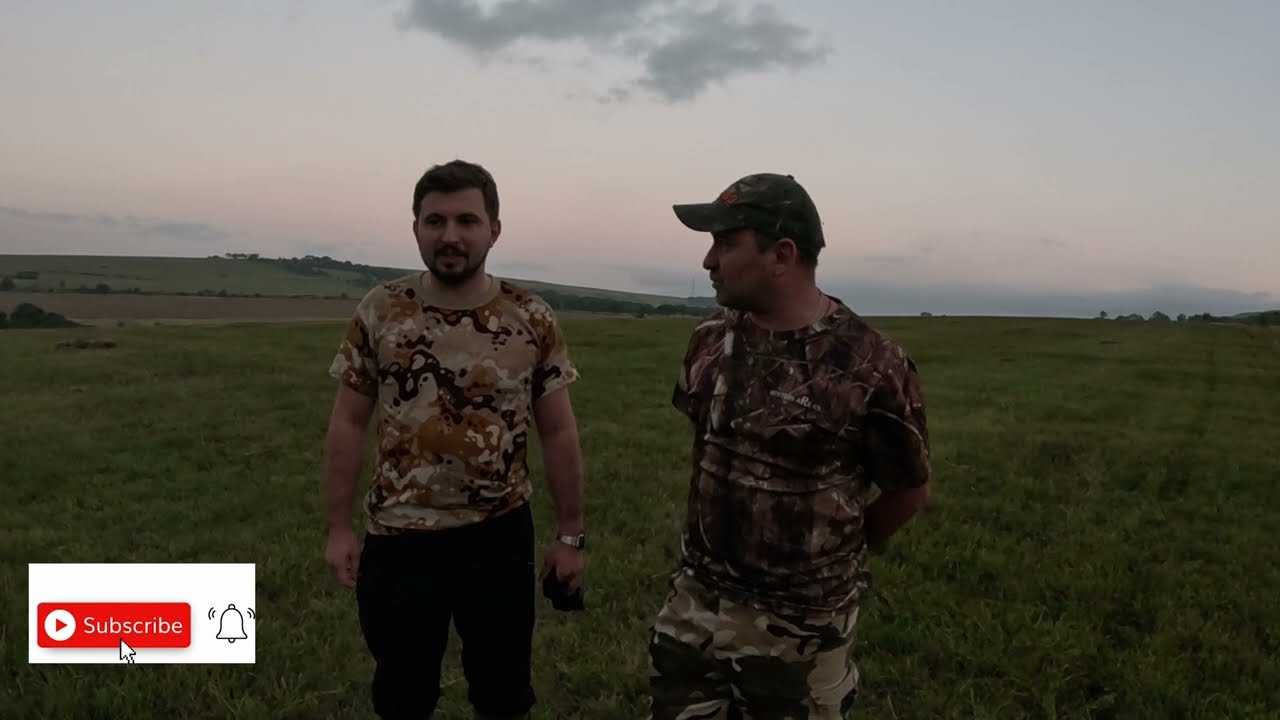 ძაღლის გეშვა, 