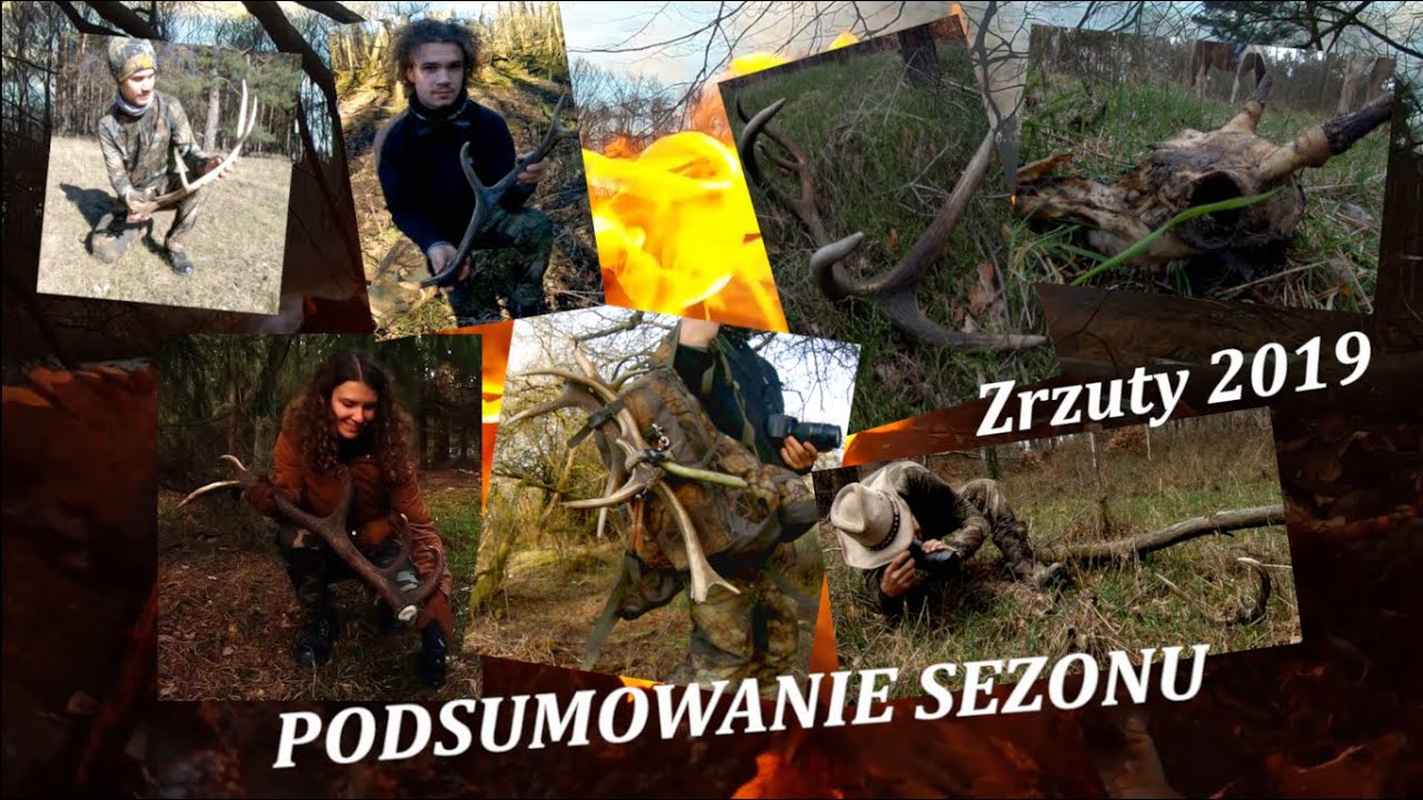 PODSUMOWANIE SEZONU !! 🦌  Sezon na Zrzuty 🦌