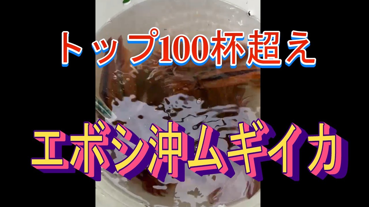 トップ１００杯超・相模湾エボシ沖ムギイカ