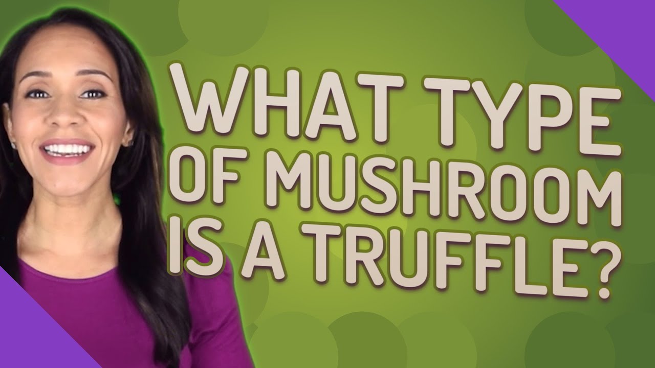 What type of mushroom is a truffle?