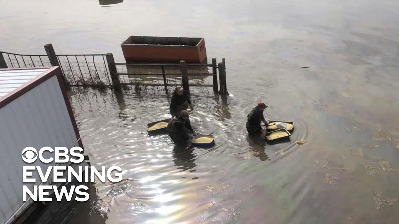 Farmers devastated by historic flooding in Midwest