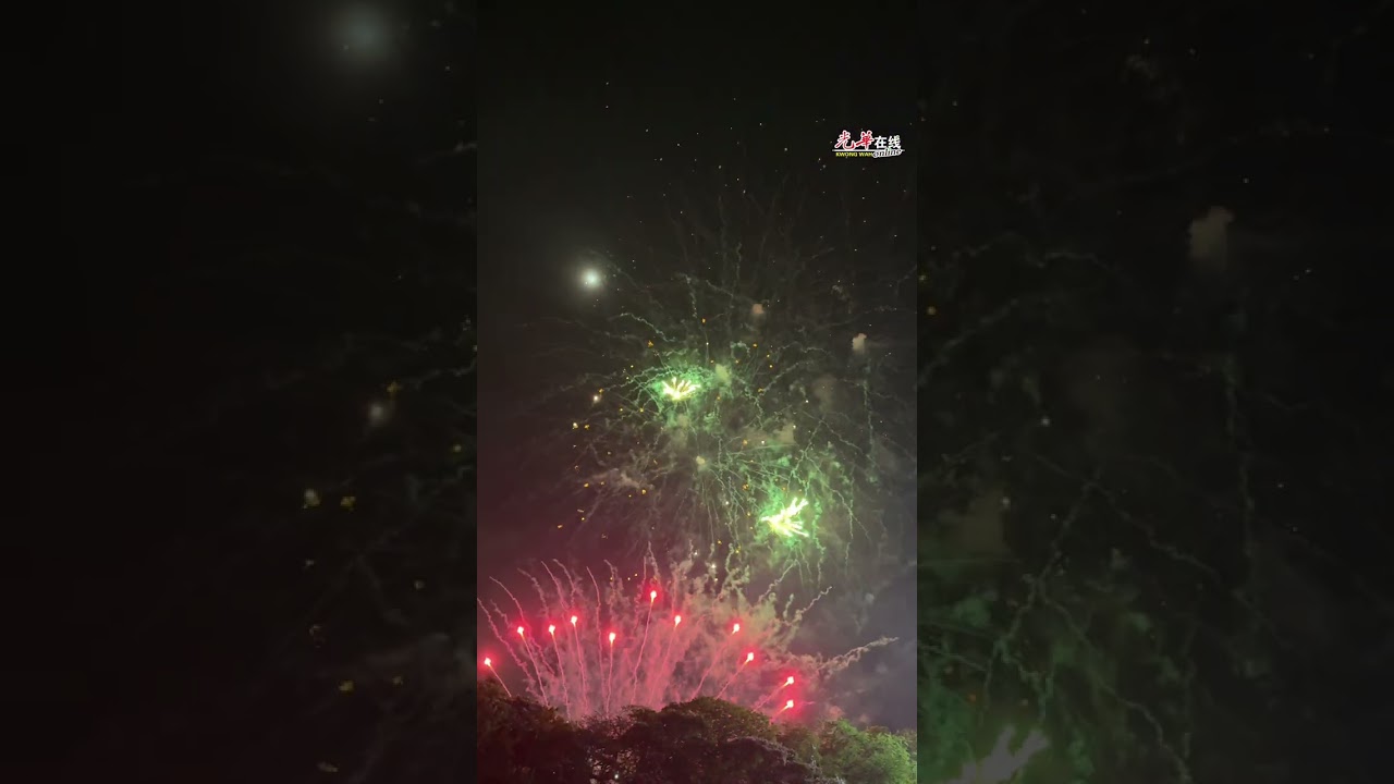 槟骏马迎元宵 烟花纯享震撼绽放