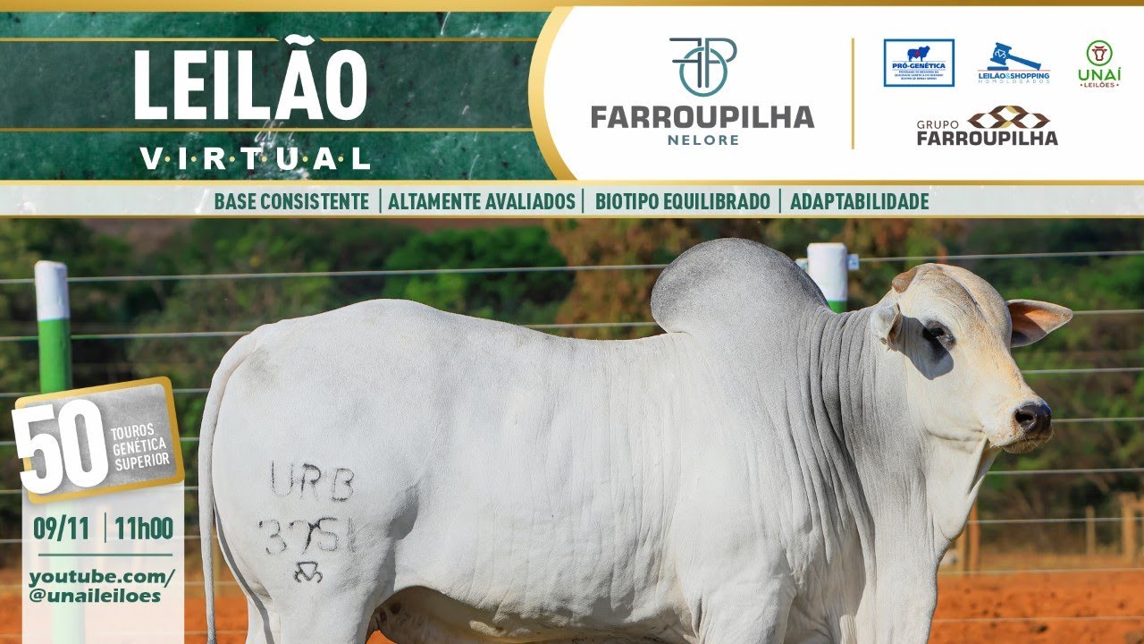 LEIL&Atilde;O VIRTUAL REPRODUTORES FARROUPILHA - UNA&Iacute; LEIL&Otilde;ES  - 09-11-2025