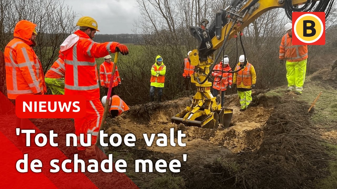ProRail graaft DASSENHOLEN uit onder SPOOR | Omroep Brabant