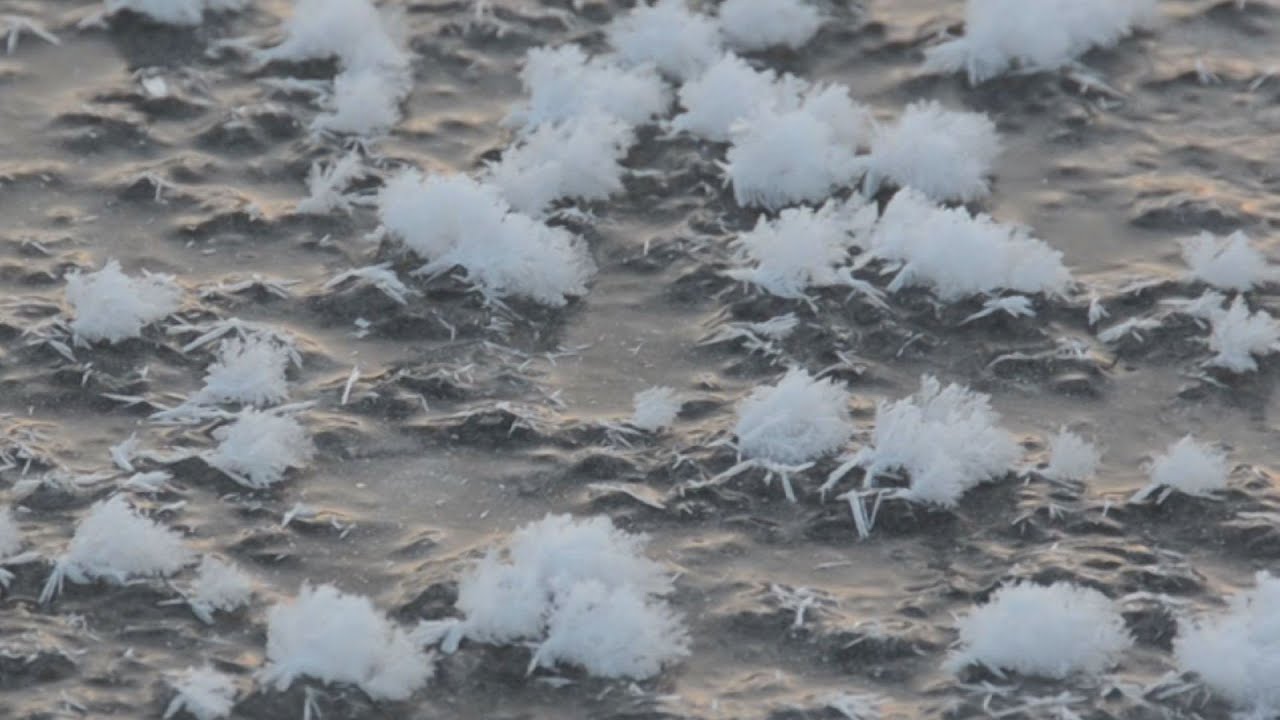 北海道で「霜の花」咲く 立春は厳寒でスタート