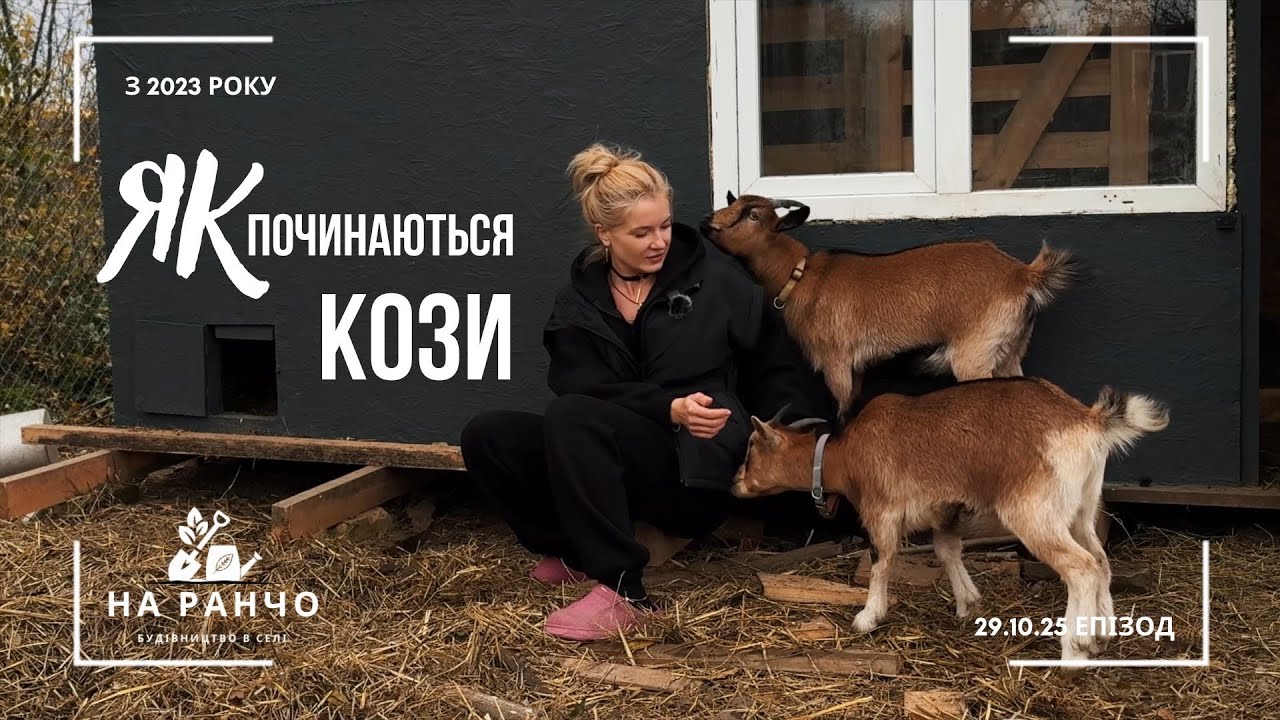 З чого почати, коли хочеш козу | Мій шлях від нуля