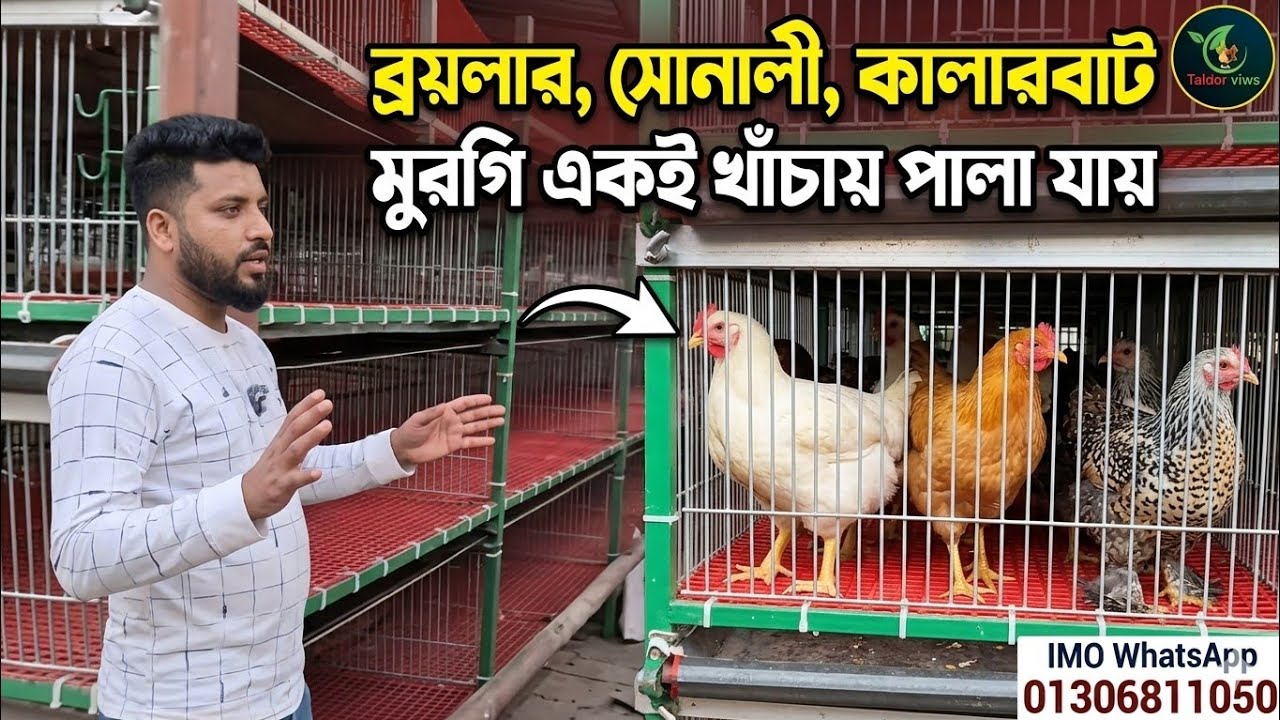  ব্রয়লার /সোনালী / কালার বাড মুরগির খাঁচা !!