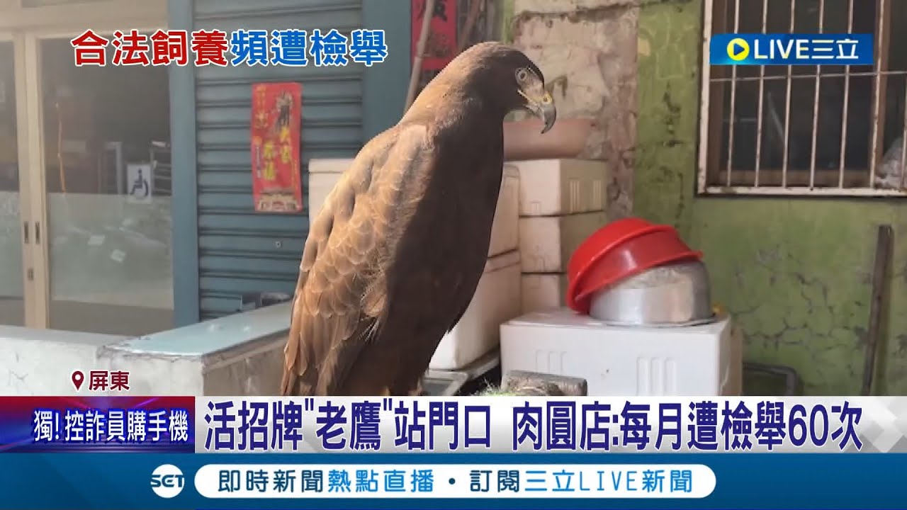 屏東肉圓店活招牌