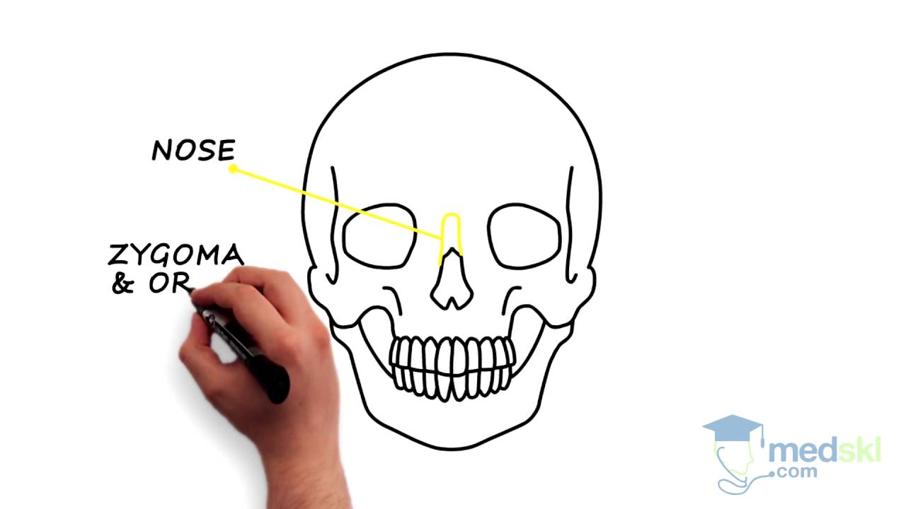 Plastics &ndash; Facial Injuries: By Tara Lynn Teshima M.D.