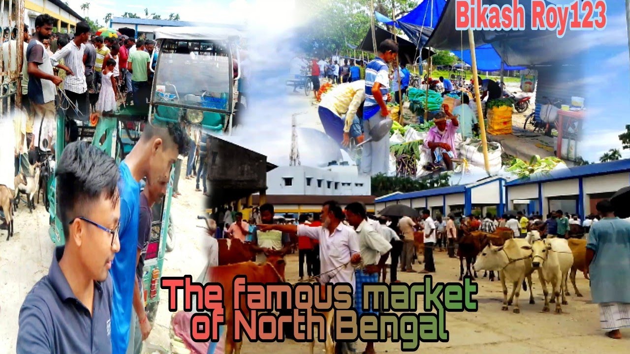 The famous market of North Bengal// Dhupguri supermarket, jalpaiguri//❤️
