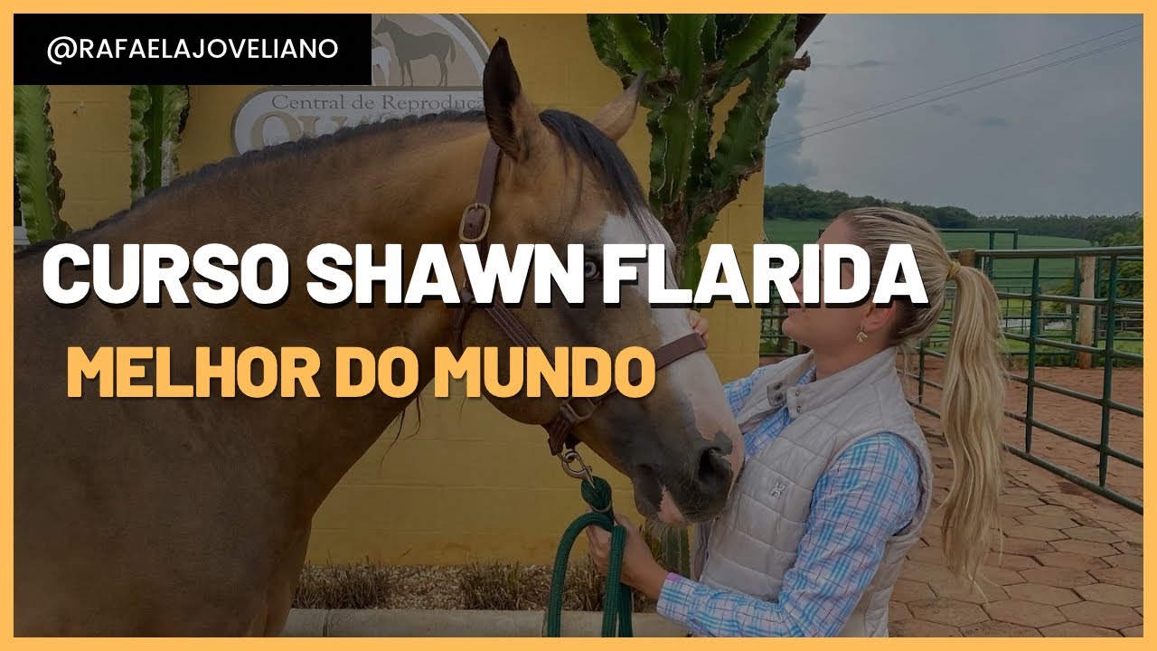 Curso Shawn Flarida- Melhor do mundo em rédeas (visitei vários haras!)