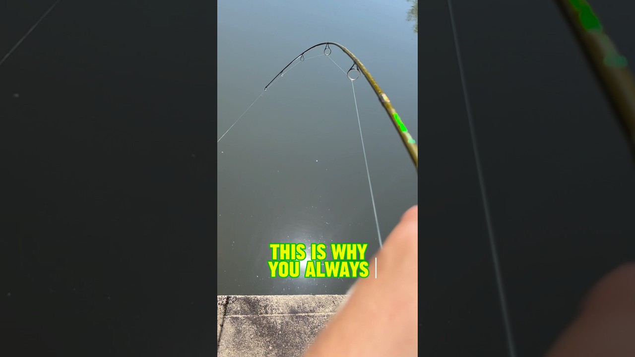 THIS Is Why You ALWAYS Need Heavy Fishing Gear!! 🎣😡🐢 #shorts #fishing