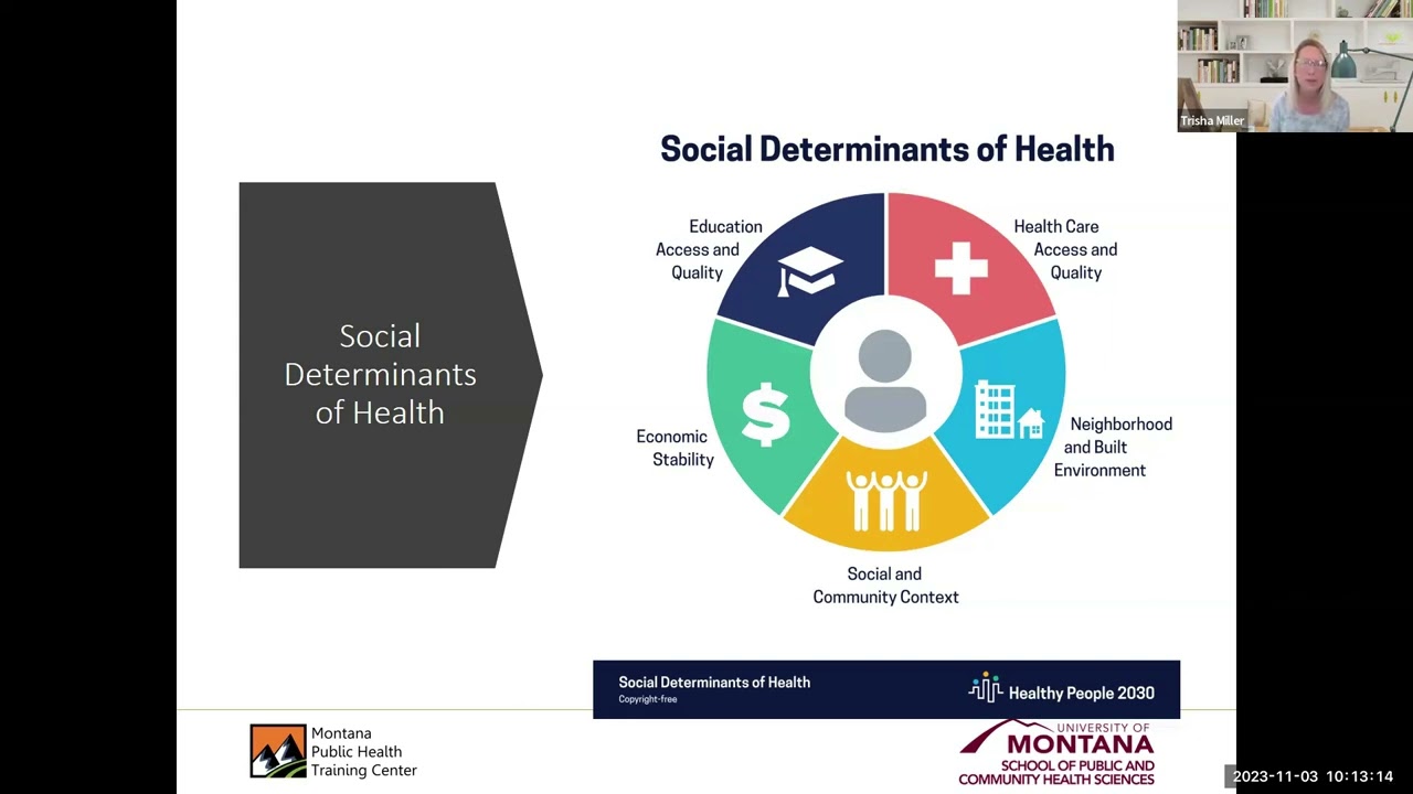 Health In All Policies
