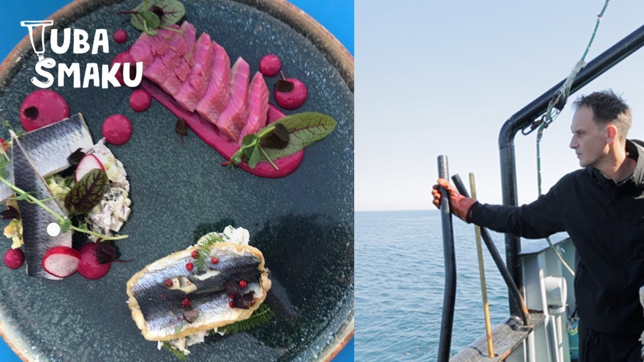 Śledzę ŚLEDZIE nad Bałtykiem! Połów, przepisy, rozmowy 🐟| Pascal na tropie jakości