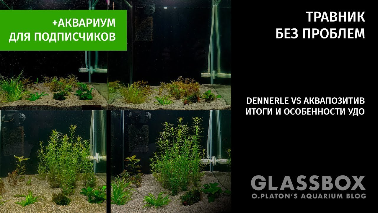 Травник без проблем / Dennerle vs Аквапозитив - итоги и особенности + аквариум для подписчиков.