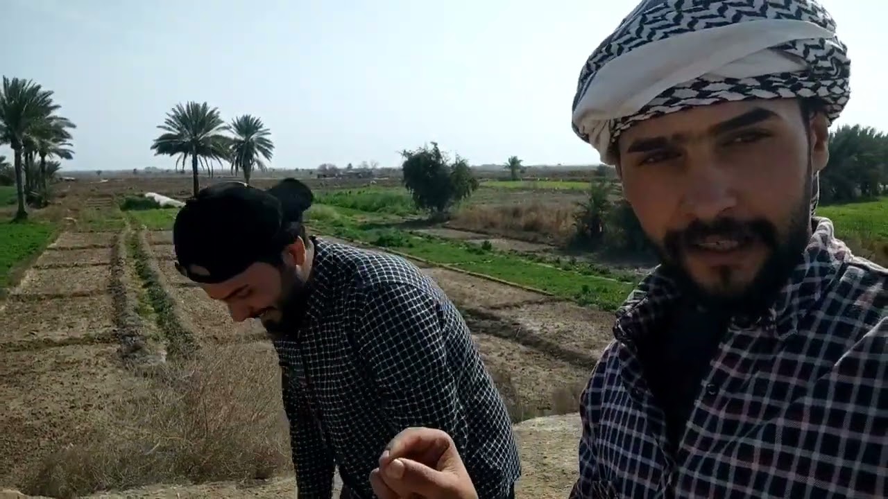 صيد النبك البري 😜😜😜