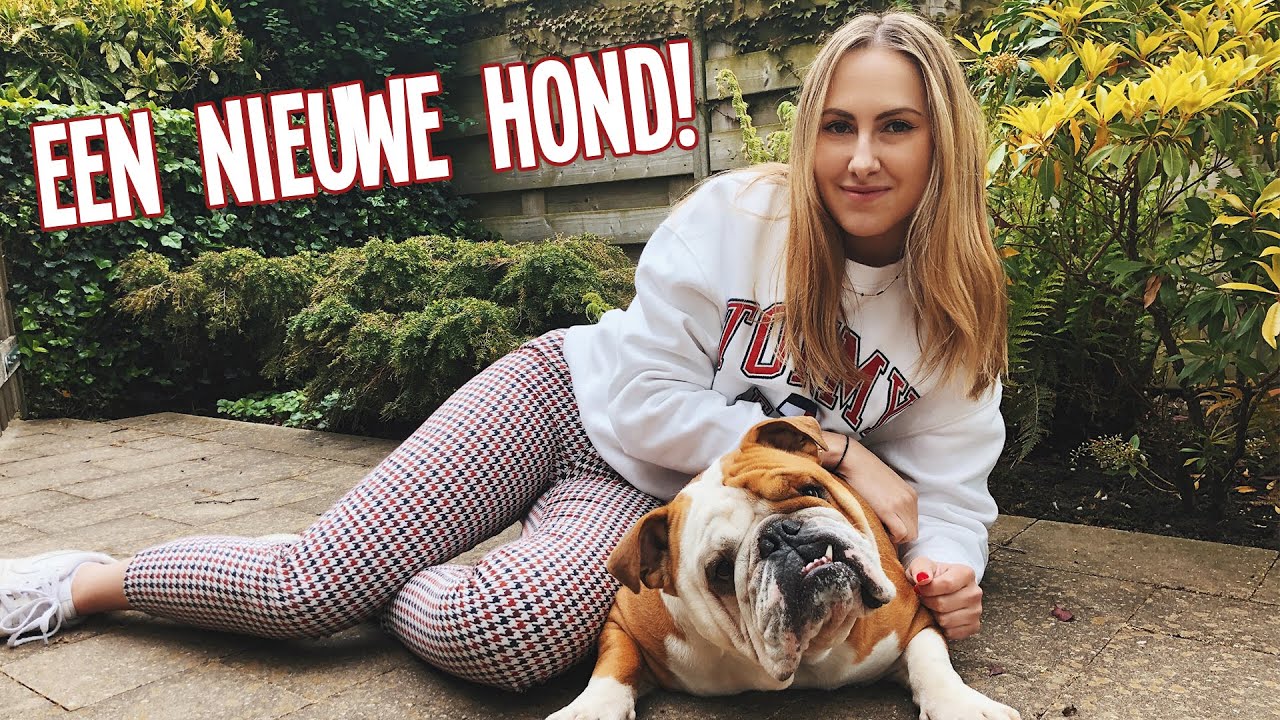Wij hebben een NIEUWE HOND geadopteerd! 😱