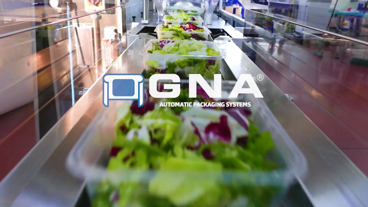 GNA - Horizontal flow pack machine mod. CHIMERA