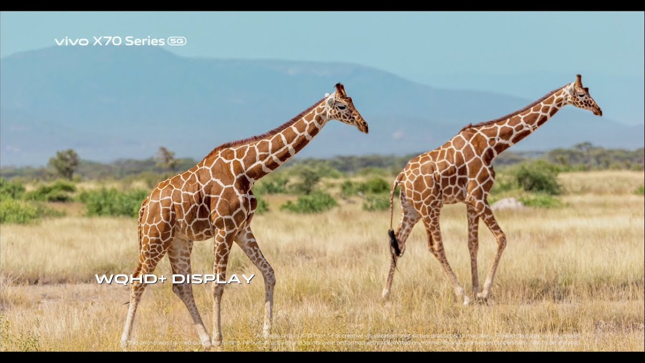 #vivoX70Series