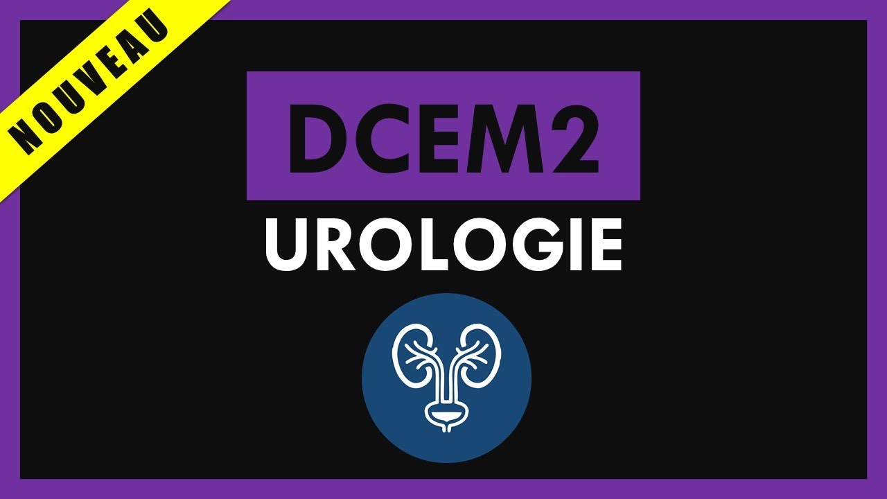 Urologie [Conférence] - DCEM2
