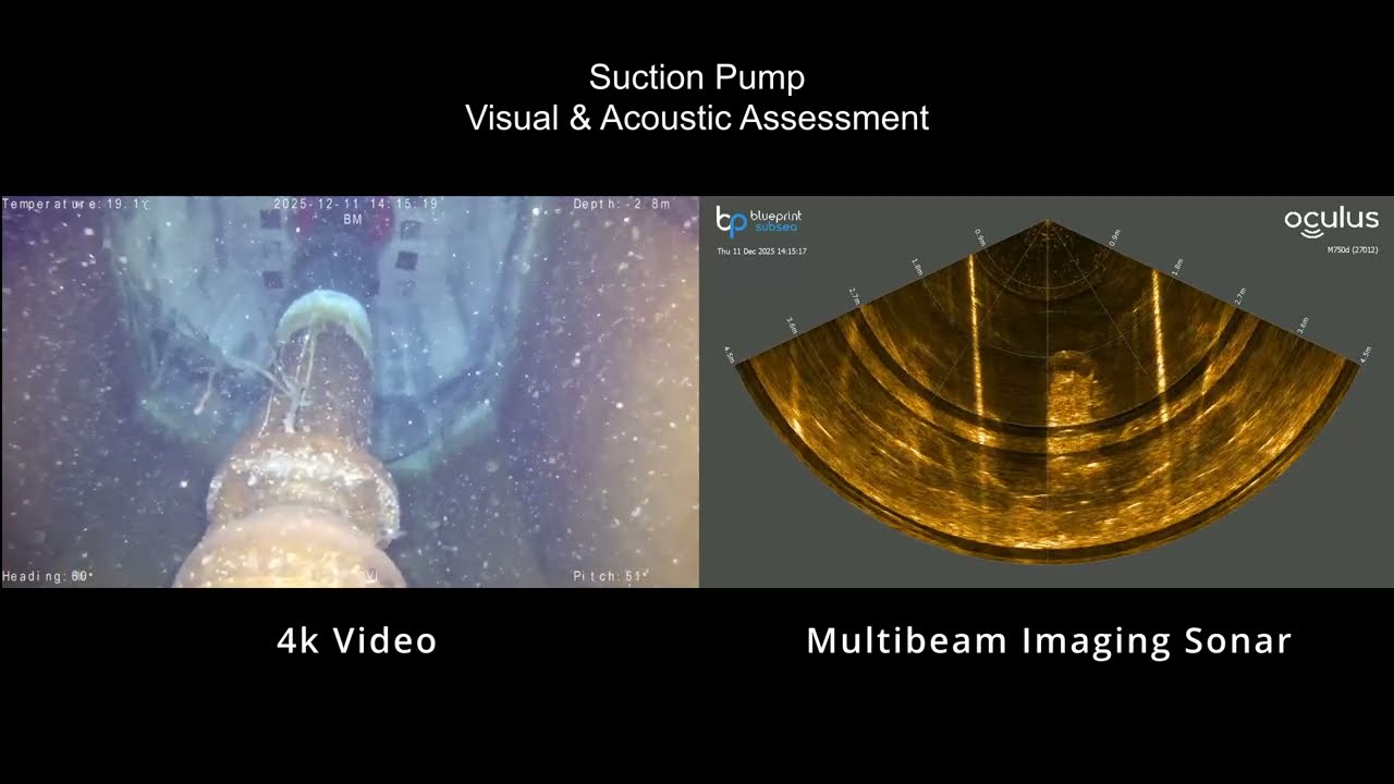 BM - LNG Terminal Seawater Intake System Baseline Condition Assessment