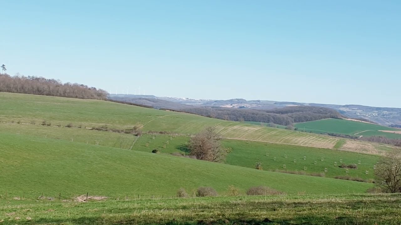 Lux field view