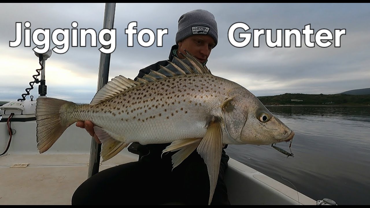Jigging for Spotted Grunter