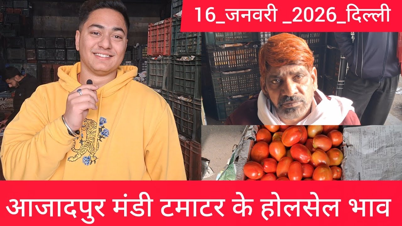January 16, 2026 दिल्ली 🍅टमाटर के भाव azadpur Delhi mandi today #tomatomarket #delhitomatomarket