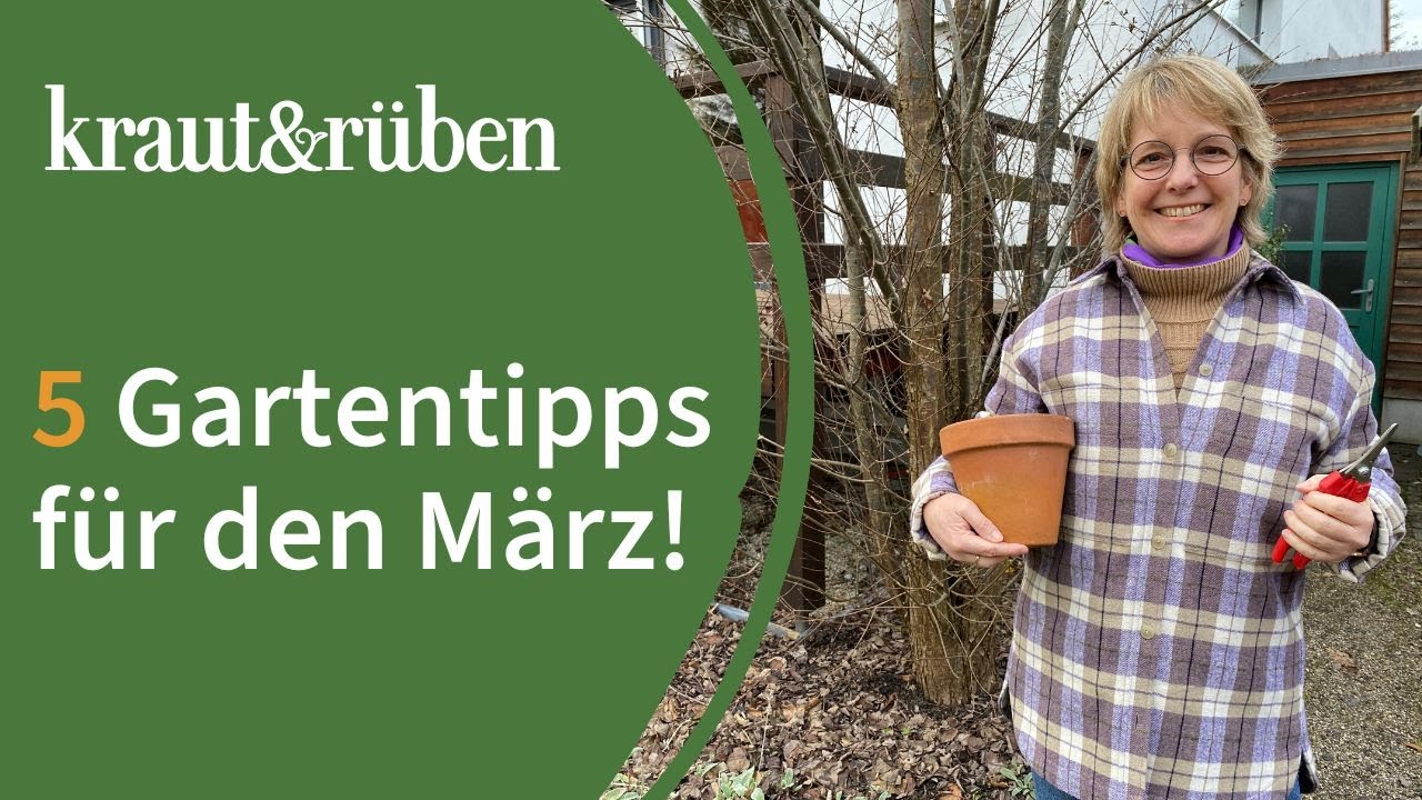 Gartenkalender: 5 Tipps für den März