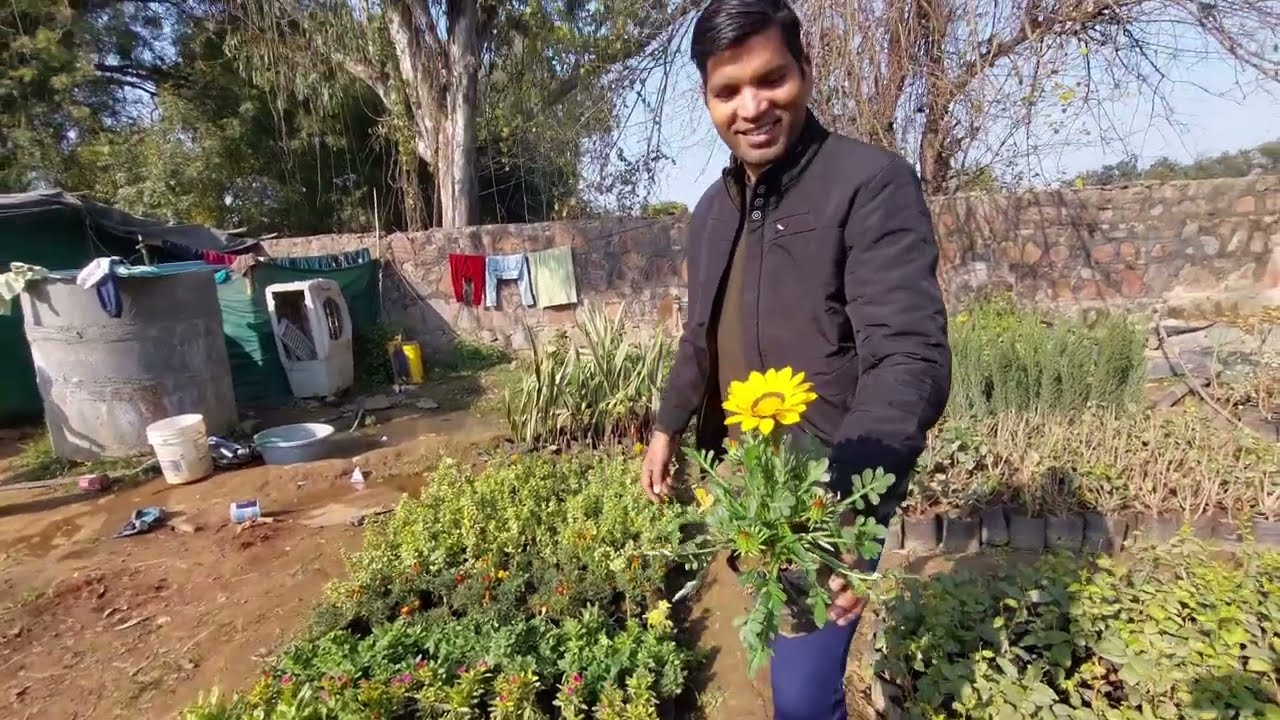 My Home Garden 🏡 ♥️ 