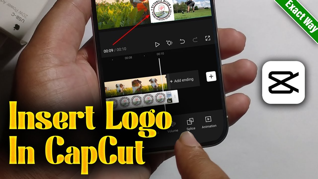 How To Insert Logo In CapCut 2026 (Android & iOS)