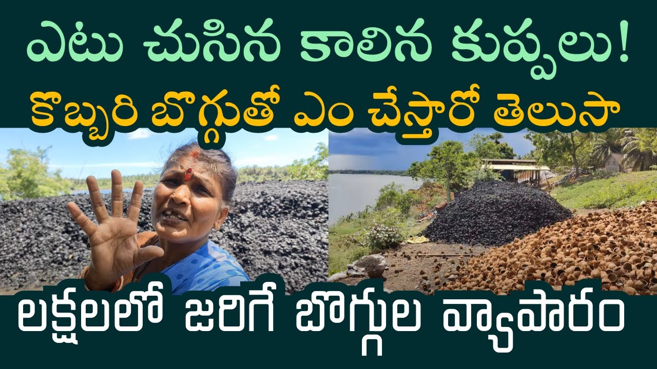 కొబ్బరి చిప్పలతో కూడా డబ్బులు సంపాదన చేయొచ్చా ? | కొబ్బరి బొగ్గుల వ్యాపారం