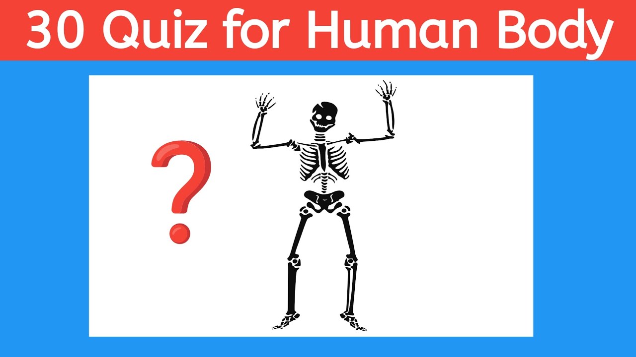 Can You Score 30/30? Ultimate Human Body Quiz Challenge | Quiz Zone| Human body quiz