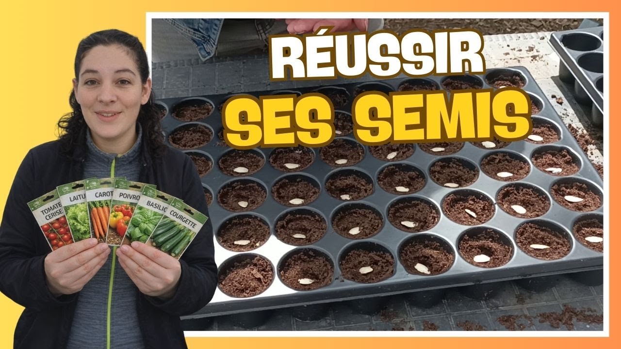 🌱 Réussir ses semis pour le potager