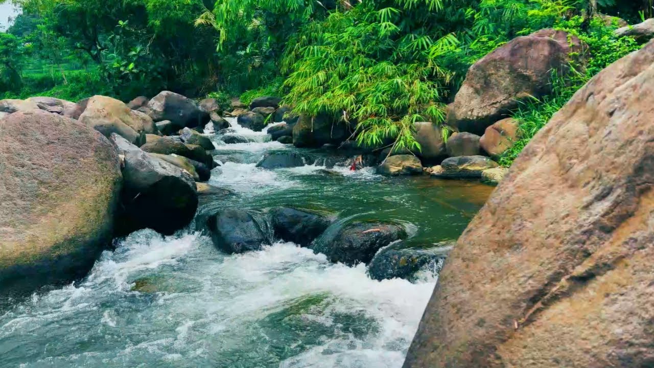 Nature’s Whisper – Calm Your Mind with Peaceful Sounds for Sleep and Relaxation