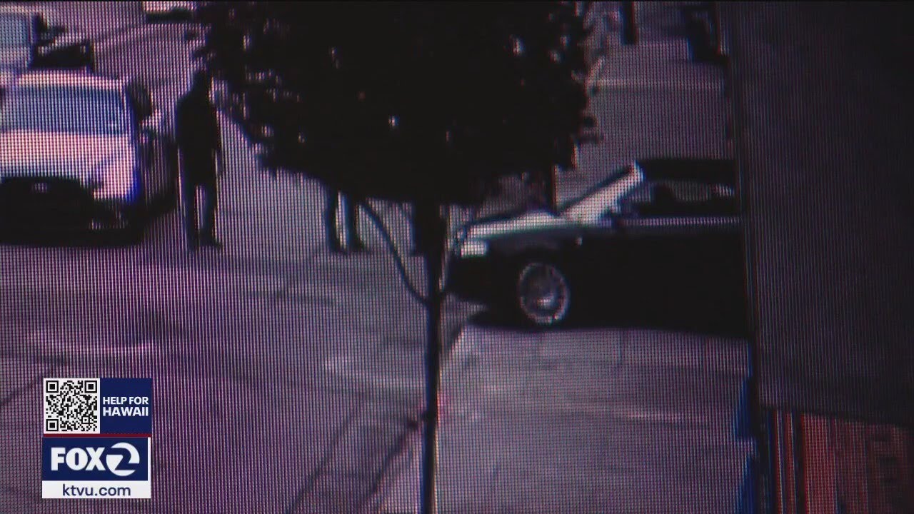6 cars stolen in Oakland auto shop