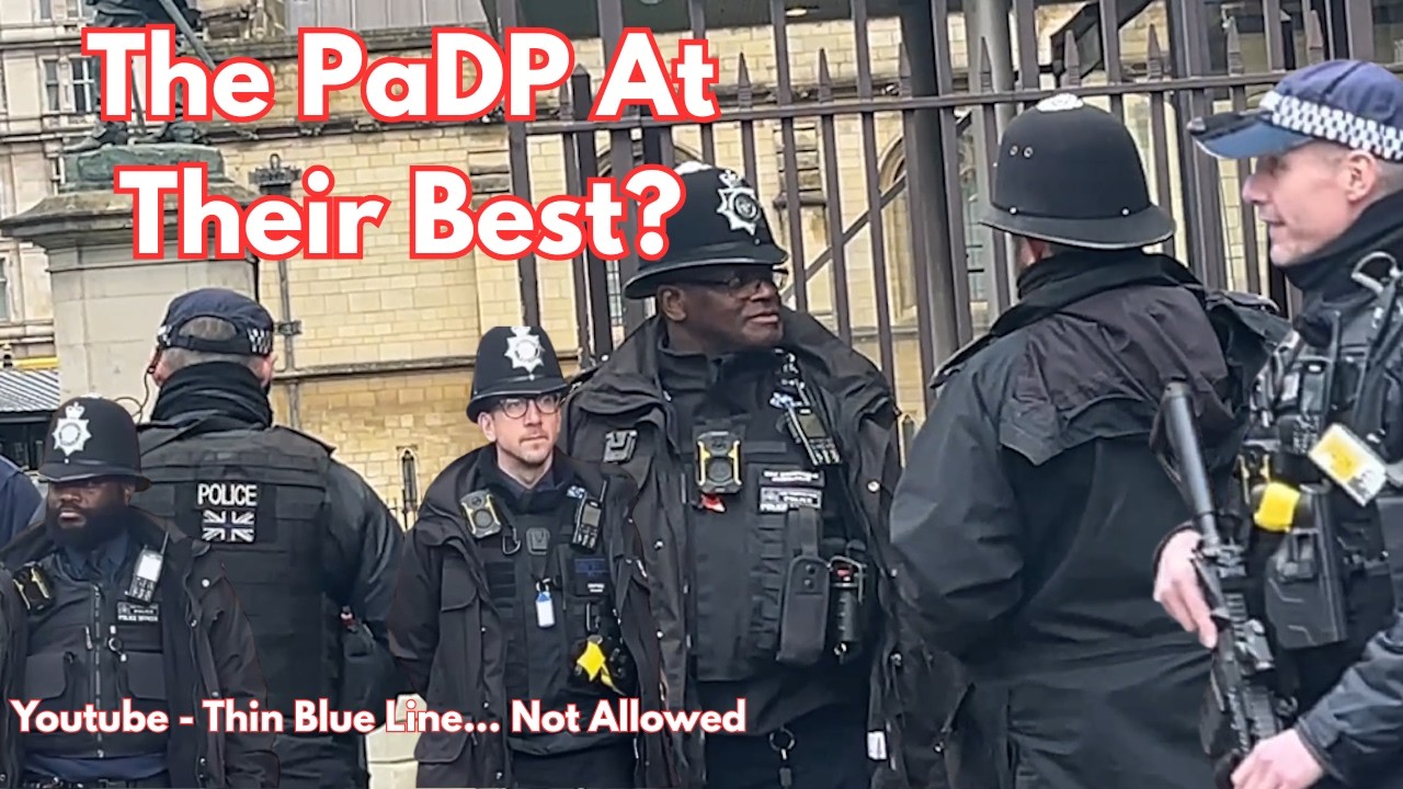 Партия PaDP во всей красе; Часть 1