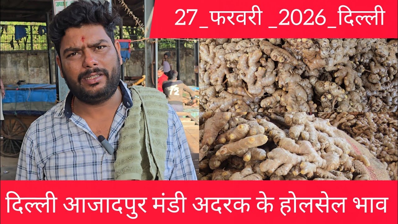 27 February 2026 दिल्ली अदरक के होलसेल भाव azadpur delhi Ginger market price #gingermarket 