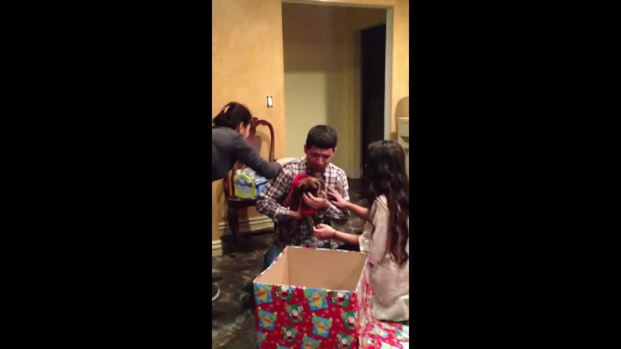 Surprised my boyfriend with a boxer puppy for Christmas! :)