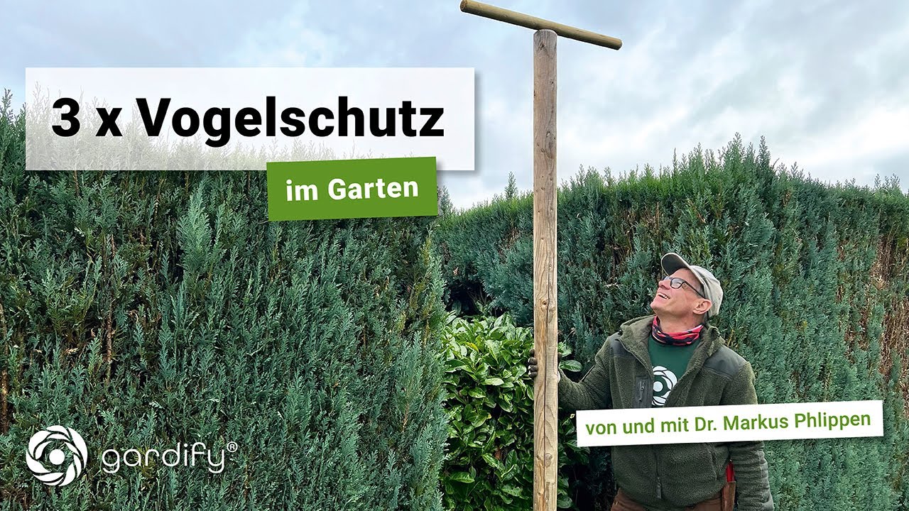 Vogelschutz im Garten | gardify Tipps