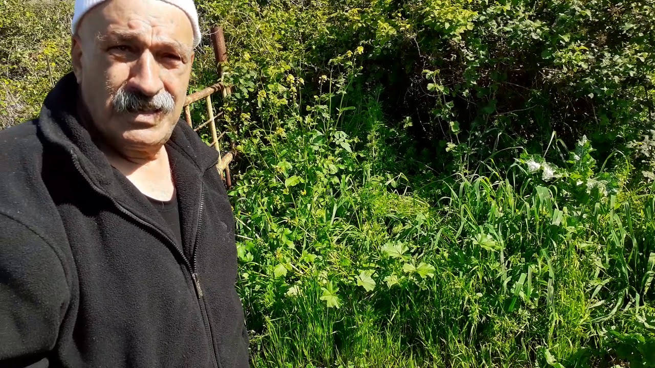 13 במרץ 2021 \ سهل الحوله \ الوقاص \ نجمة الصبح \