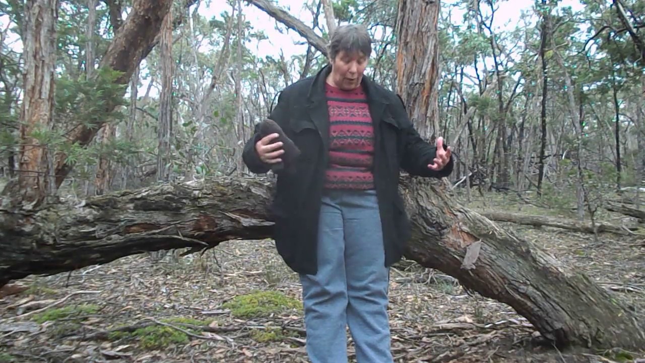 Pooping in the bush - How to