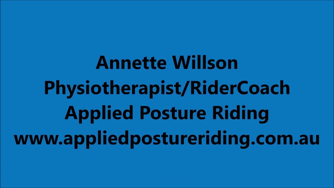 Equine Physiotherapy for Windgalls in a Horse