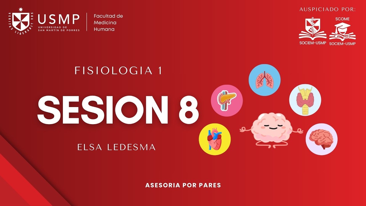 Fisiología 1-Sesión 8-Características de la sangre, B12,acido folico y Fe-Elsa Ledesma-2026-0