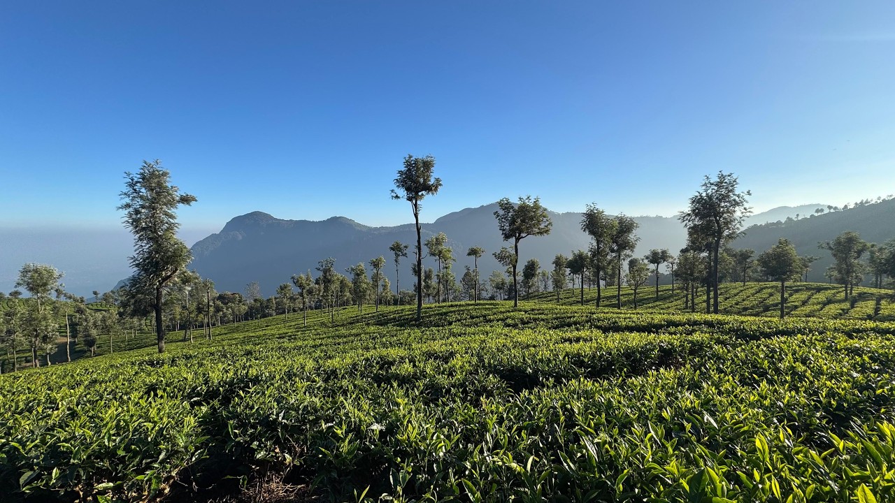 A Journey Within and Beyond | Isha & Coonoor Diaries