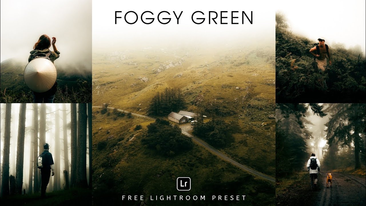Foggy Green Lightroom Preset | Lightroom Mobile Preset Free DNG |  lightroom presets