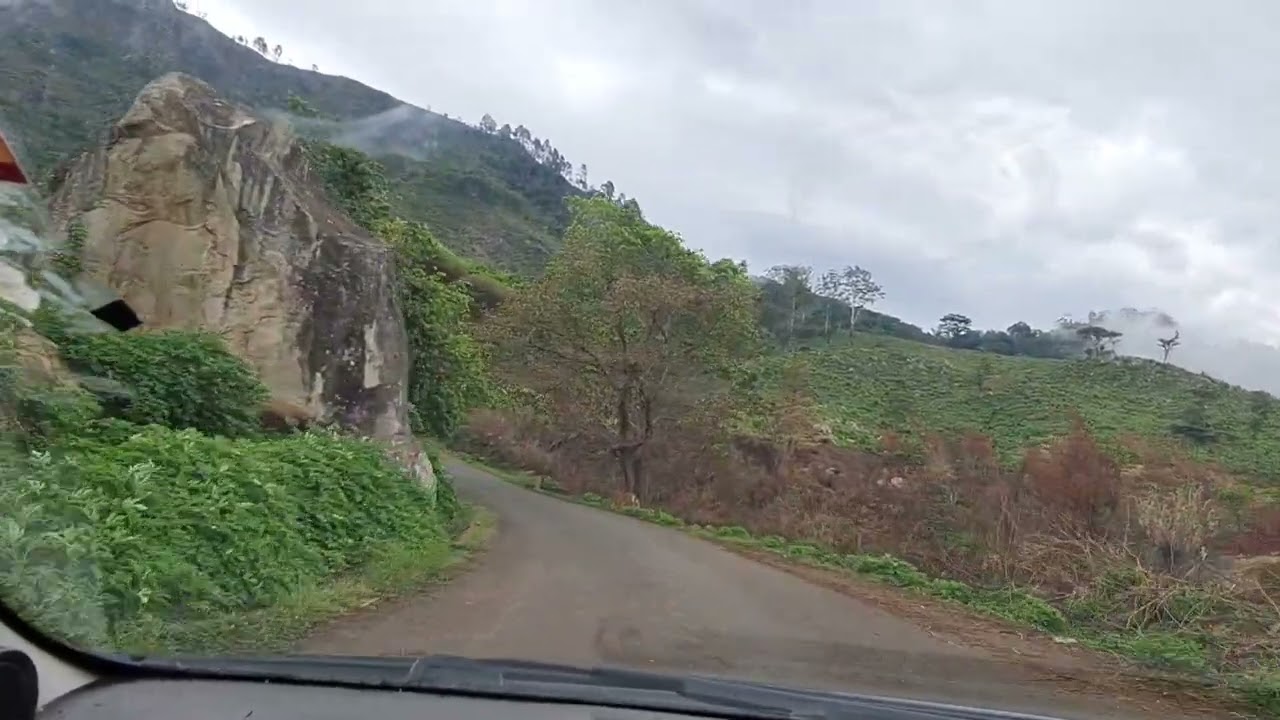 Zomba Mountain Drive