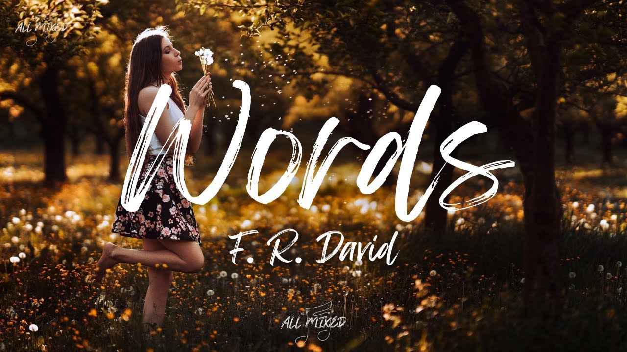 F. R. David - Words (Lyrics)