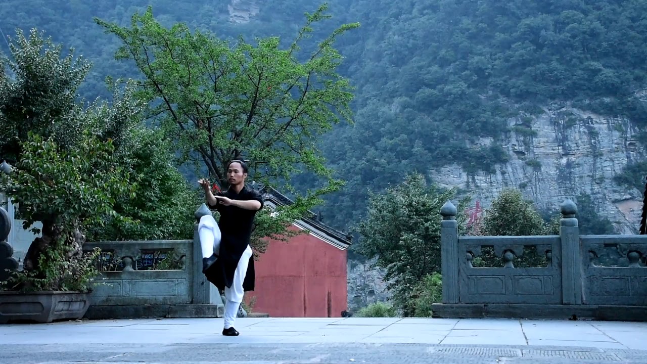 Tutorial: Wudang xing yun quan 武当行云拳