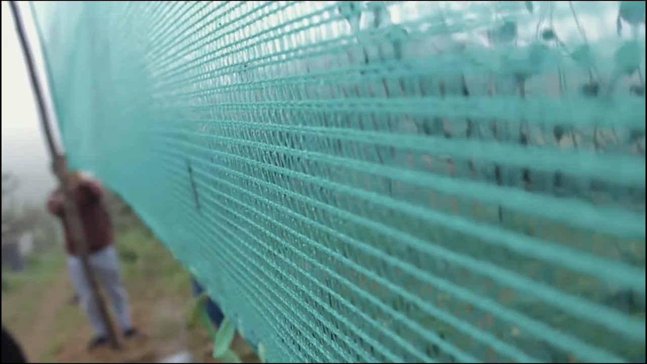 Atrapanieblas: Cazando Nubes | Documental